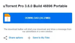 torrent.webp torrent.webp