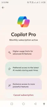 copilot (1).webp