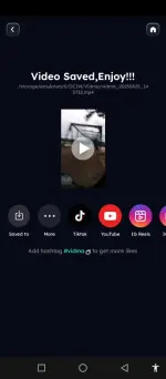 vidma (3).webp