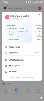 wps pro (2).webp