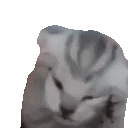 3274-thevoices.gif