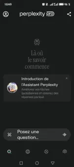 Screenshot_20250902_104932_ai_perplexity_app_android_MainActivity.webp
