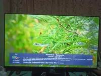 17568679539354675866957138918745.webp