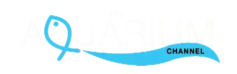 AQCHlogo.webp