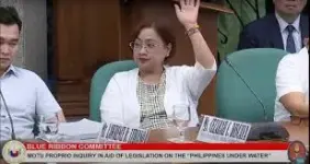 Raise hand Discaya.webp