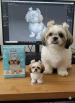 1000035300.webp 1000035300.webp