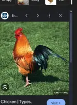1757056547112.webp