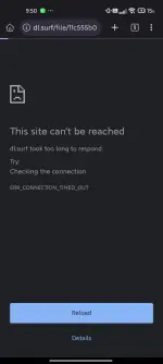 1001065928.webp 1001065928.webp