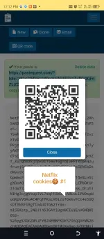 Screenshot_20250906-121231.webp