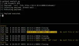 payload.webp