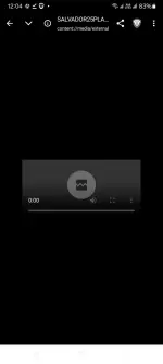 1000133744.webp