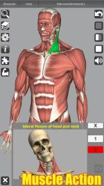uqVRM-AhKU0FR59bA5oTdDwCZgTmEAOYbSN0iAr1ZrJ6tFVyEQZN1jfLOS7kzlTX-34.jpeg
