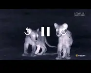 Screenshot_20250907_162719_Network Stream (Video) Player.webp