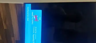 17574590770831225490381296021845.webp