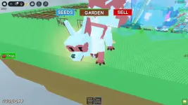 RobloxScreenShot20250910_161641263.webp RobloxScreenShot20250910_161641263.webp