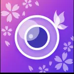 1000002551.webp