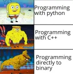 Programming Hardness.webp