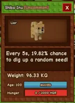 MEGA SHIBA.webp MEGA SHIBA.webp