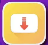 1000002839.webp 1000002839.webp