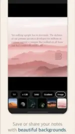 1000003660.webp 1000003660.webp