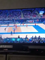 17580205568702316073628442247012.webp