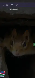 1000000655.webp 1000000655.webp