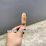1758237491636.webp