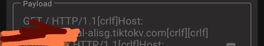 1004047211.webp