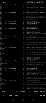 1004047221.webp