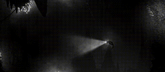3.gif 3.gif