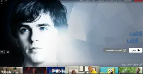 bew.webp