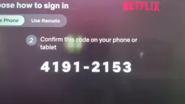 17697500202255144253144439462907.webp