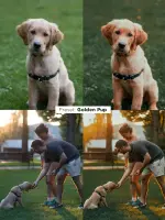 Justin Veenema (2).webp Justin Veenema (2).webp