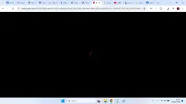 1770010090420.webp