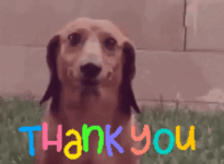 ec244f29-b3e3-4202-a5e8-f2a90a9495ed_478x350.gif