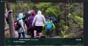 Screenshot 2026-02-04 085051.webp