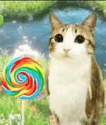 Happy Flower GIF Happy Flower GIF