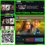 41401.webp 41401.webp