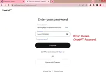 oxaam_6.webp