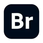 1770643988198.webp