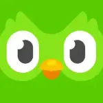 1769079677869.webp