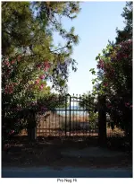 Fujify [Sony] Lightroom Profiles (3).webp