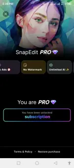 SnapEdit (2).webp