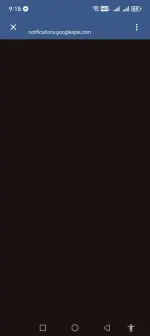 Screenshot_20260213_091503_com_android_chrome_SameTaskWebApkActivity.webp