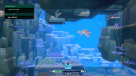 5.gif