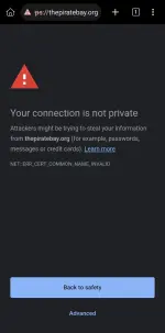 Screenshot_20260214_221220_Kiwi Browser.webp