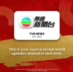1000059454.webp 1000059454.webp