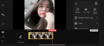1771303285241.webp