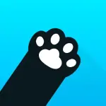 1771486326775.webp 1771486326775.webp