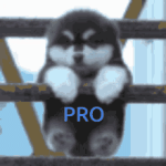1000003095.gif 1000003095.gif